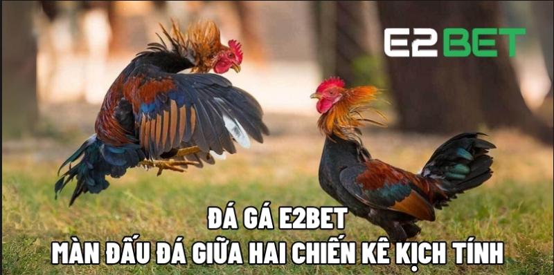 đá gà e2bet